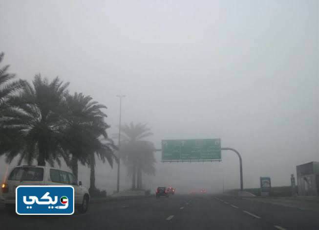 صور الضباب في الكويت اليوم