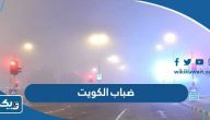 صور ضباب الكويت اليوم 2023