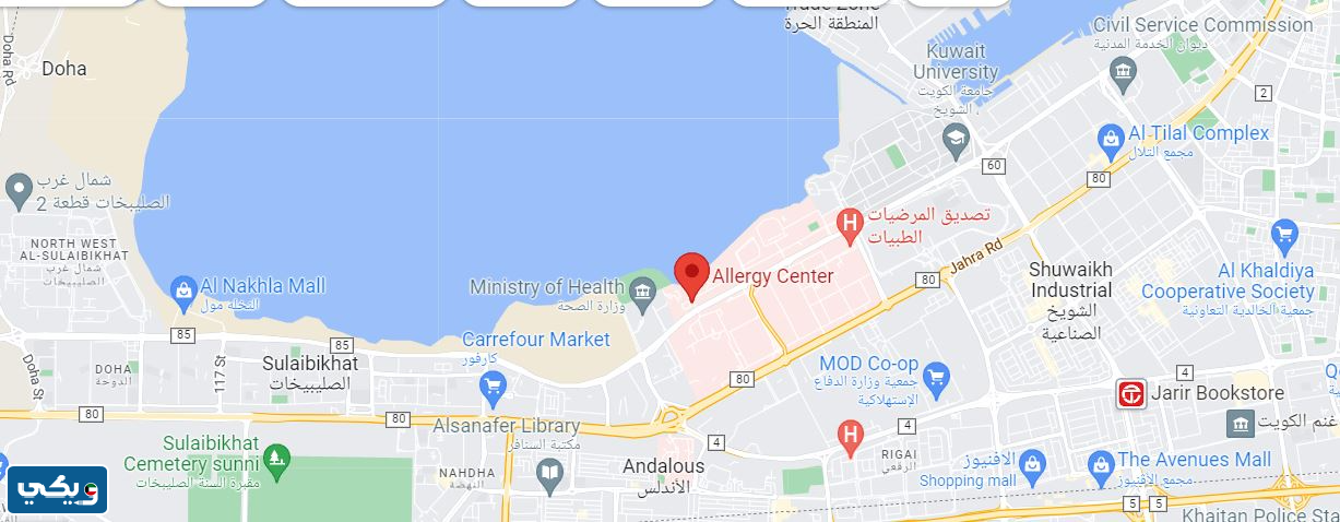عنوان مستشفى الراشد للحساسية