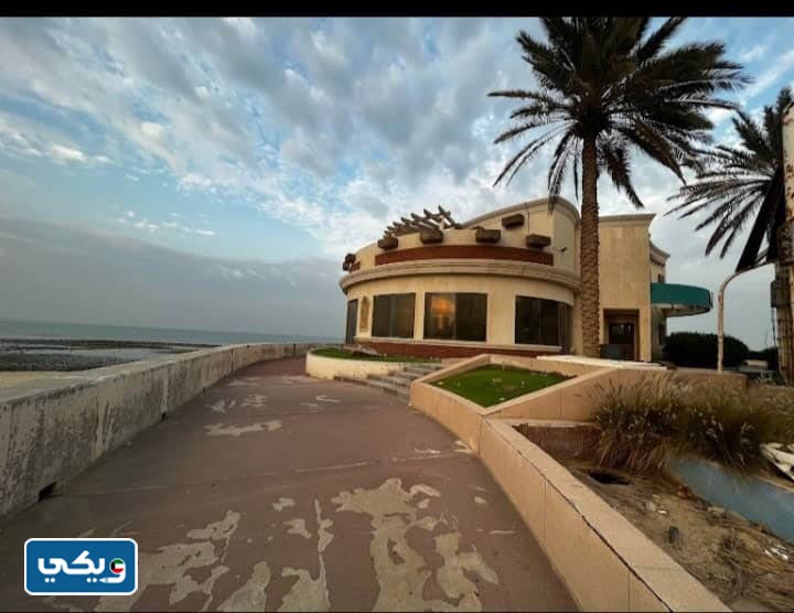 رقمُ مطعم شرمبي فرع صباح السالم