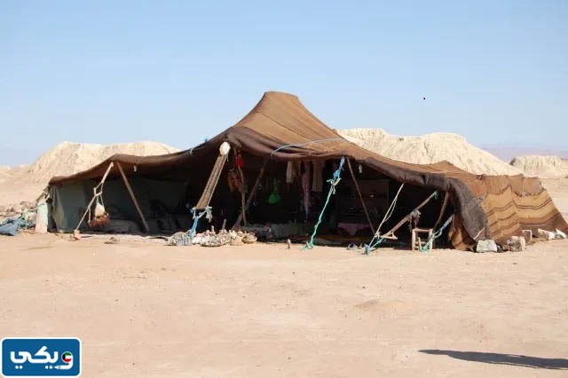 906 اي قبيله في الكويت