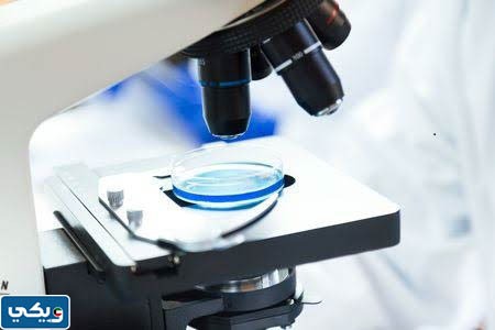 أهمية المجهر في حياتنا