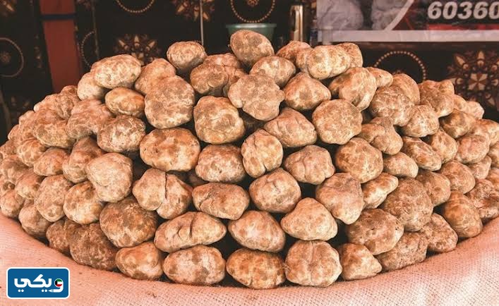 ما هو الفقع في الكويت