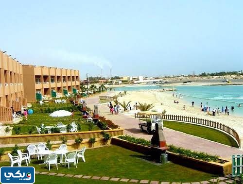 كم عدد فلل الخيران الكويت