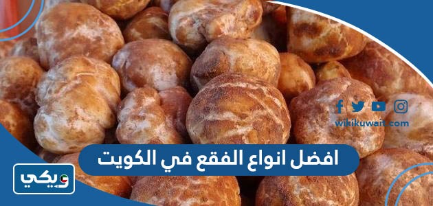 افضل انواع الفقع في الكويت بالترتيب 2023