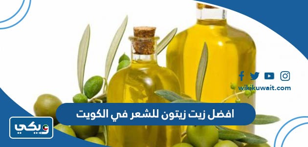 افضل زيت زيتون للشعر في الكويت