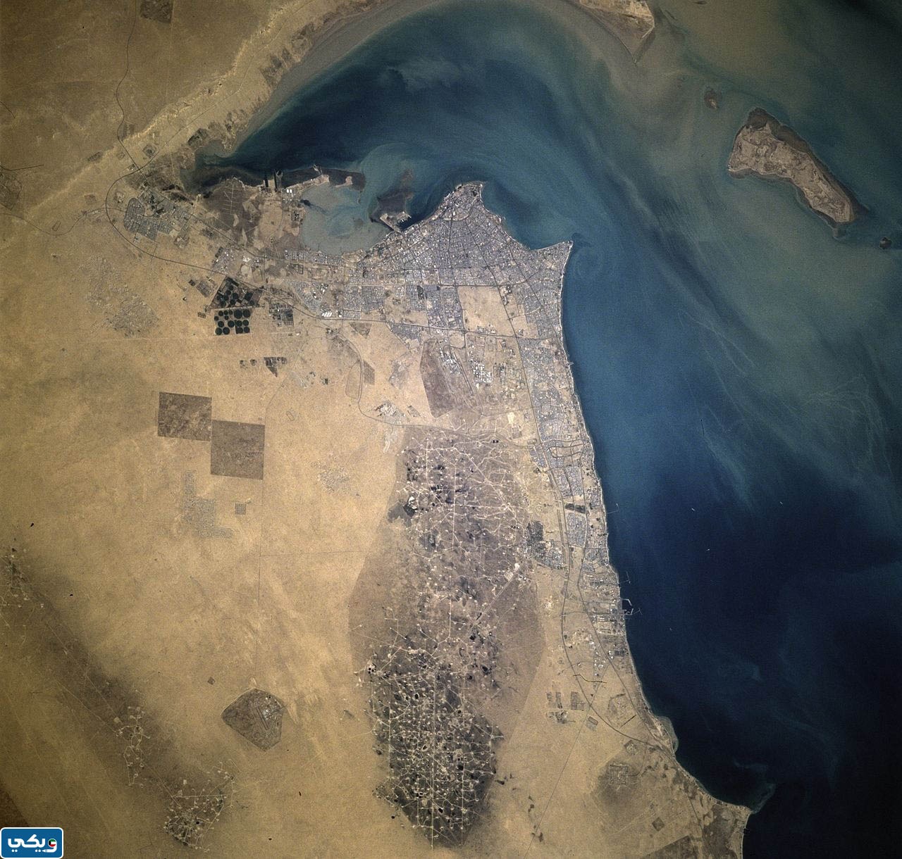 اكبر حقل نفطي في الكويت