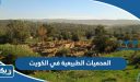 أجمل المحميات الطبيعية في الكويت