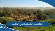 أجمل المحميات الطبيعية في الكويت