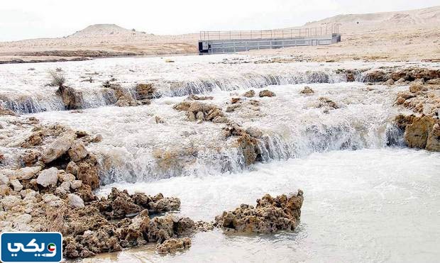 المنحدر الخلفي
