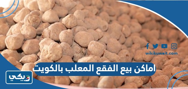 اماكن بيع الفقع المعلب بالكويت
