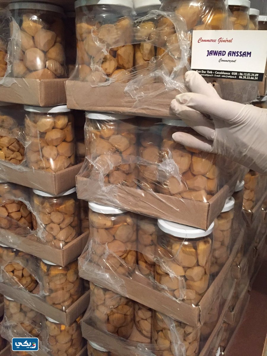 اماكن بيع الفقع المعلب