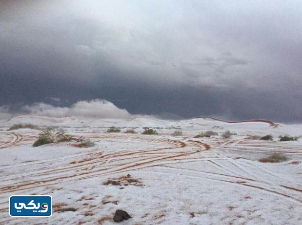 بياع الخبل عباته متى