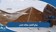 موسم بياع الخبل عباته متى يبدأ في الكويت 2025 موسم بياع الخبل عباته متى يبدأ في الكويت 2025