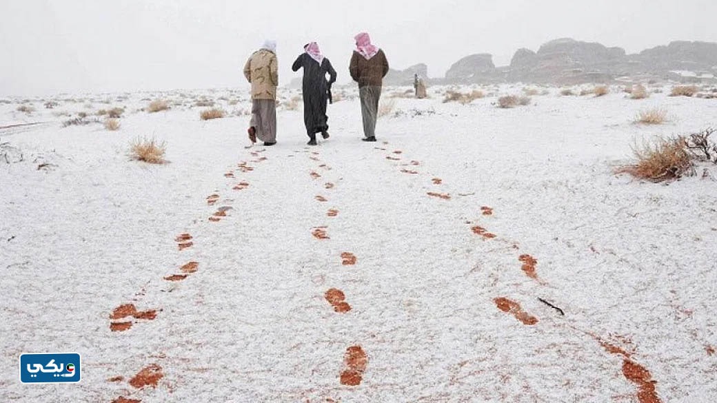 بياع الخبل عباته متى