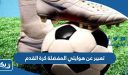 موضوع تعبير عن هوايتي المفضلة كرة القدم