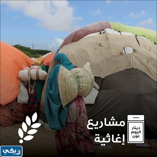 جمعية العون المباشر