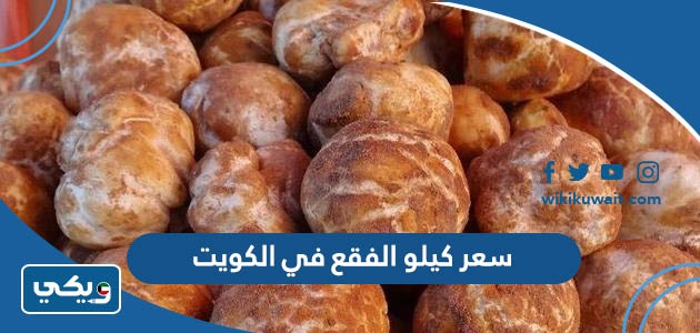 سعر كيلو الفقع في الكويت