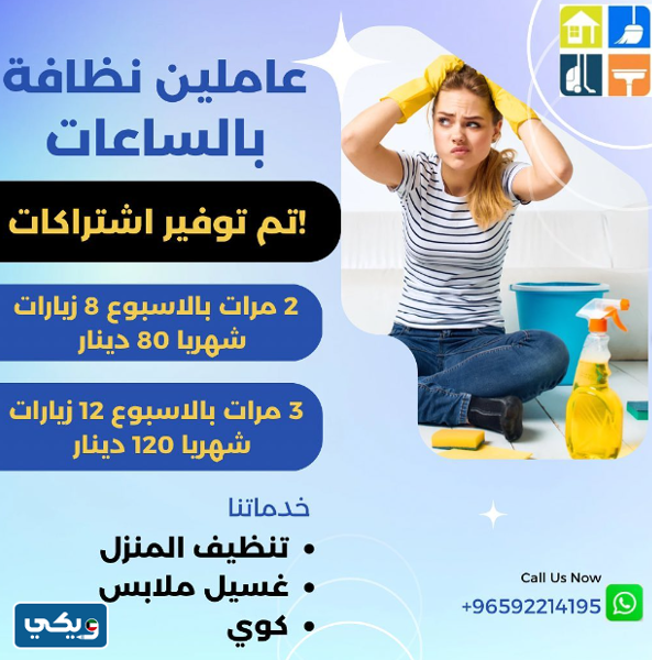 شركة Dustand shine