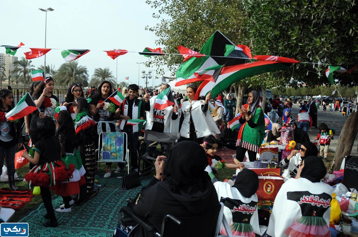 صور العيد الوطني للكويت 2023