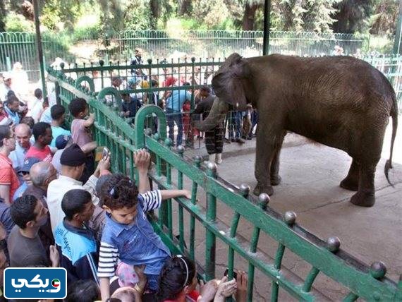 صور حديقة الحيوان بالكويت