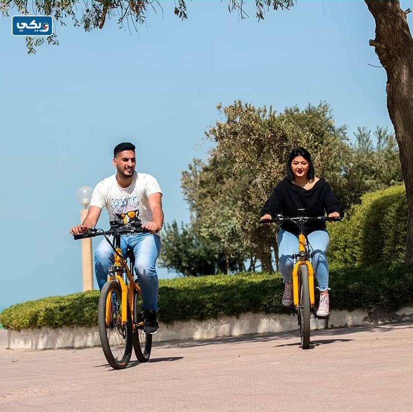 فعاليات موسم الجزيرة الخضراء 2023