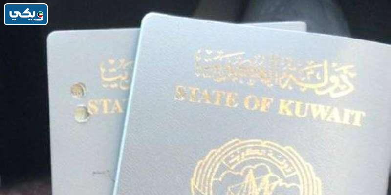 ما هي مزايا جواز البدون