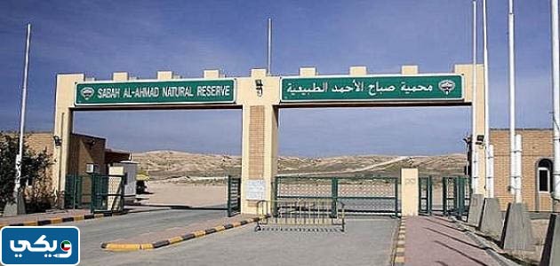 متى افتتحت محمية صباح الأحمد الطبيعية