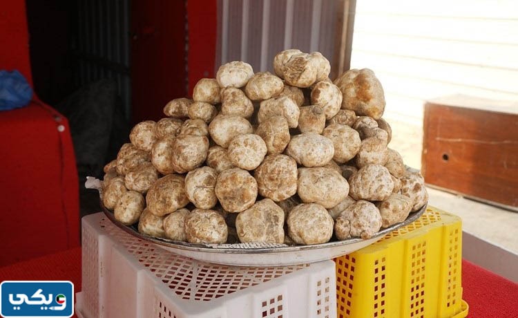 متى ينتهي موسم الفقع في الكويت 2023