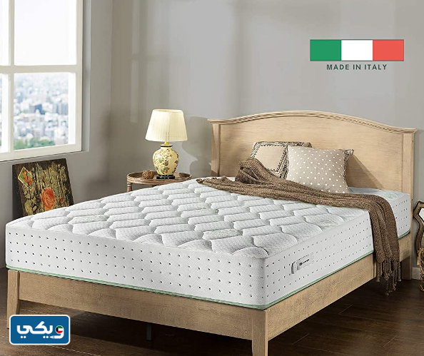 مراتب زينوس