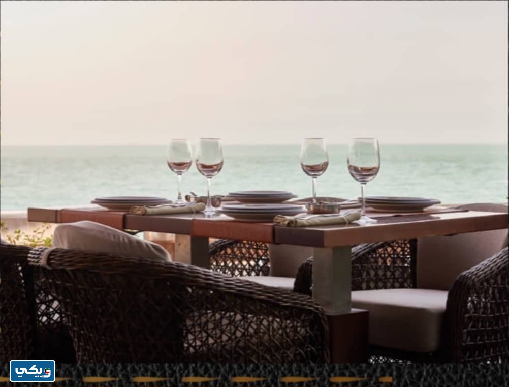 طرق التواصل مع مطعم بابل الكويت