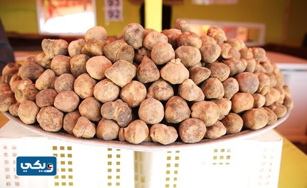 اسعار الفقع في سوق الفقع الكويت