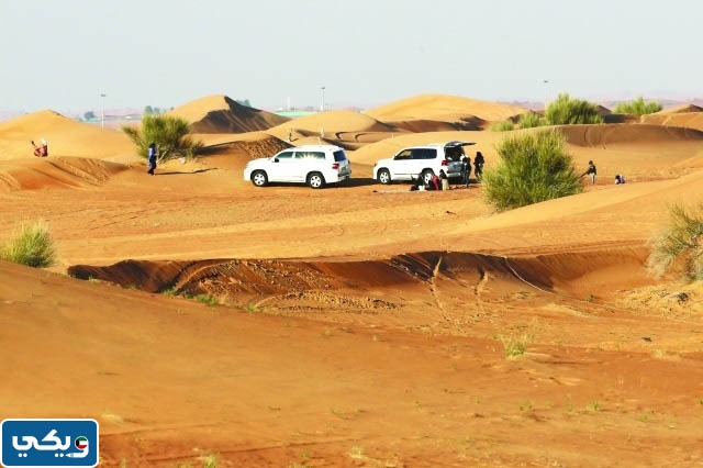 مقدمة موضوع تعبير عن رحلة الى البر