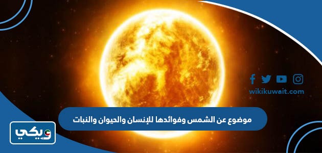 موضوع عن الشمس وفوائدها للإنسان والحيوان والنبات