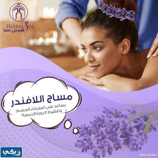 اللافندر