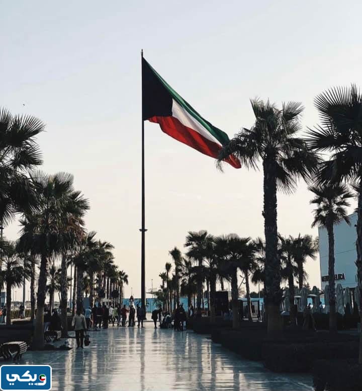 فعالية ونترلاند