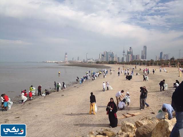 معلومات عن البيئة البحرية في الكويت