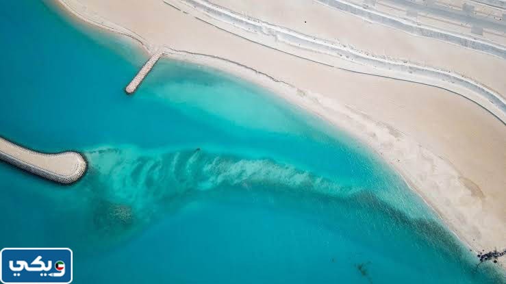 أسباب مشاكل البيئة البحرية في الكويت