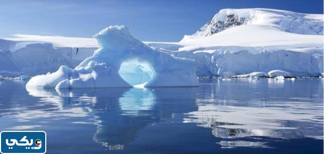 لماذا يطفو الجليد