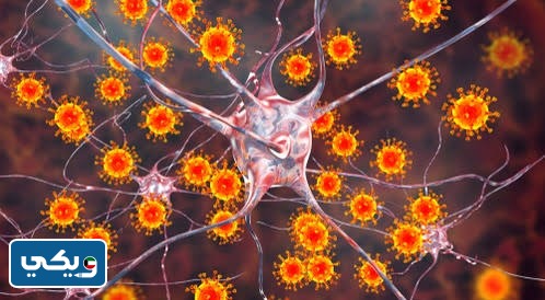 ما هي الأمراض الفيروسية