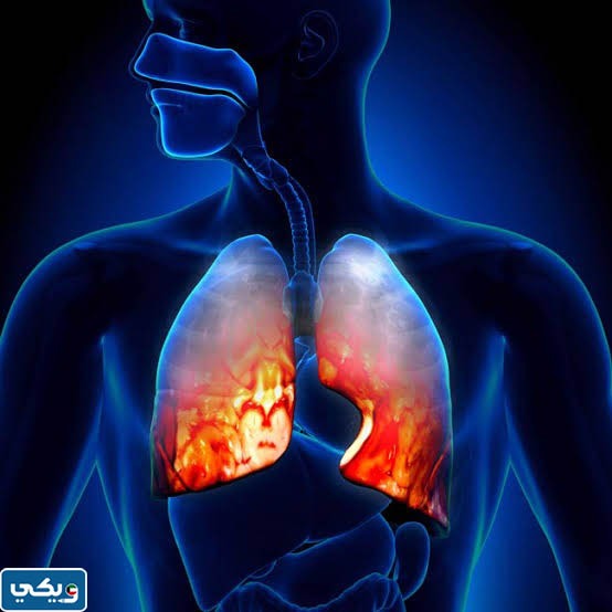 ما هي مكونات الجهاز التنفسي