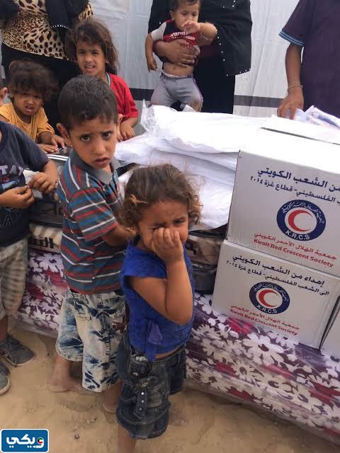 صور المساعدات الكويتية للقضية الفلسطينية