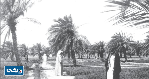 أهم مظاهر التراث في الكويت