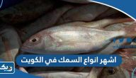 اشهر انواع السمك في الكويت