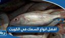 افضل انواع السمك في الكويت