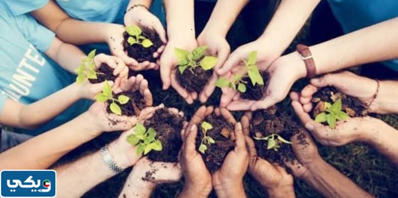 العمل التطوعي في الكويت