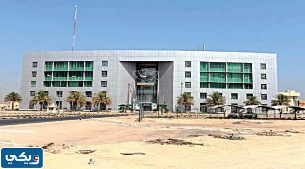 موقع الهيئة العامة للصناعة