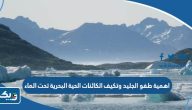اهمية طفو الجليد وتكيف الكائنات الحية البحرية تحت الماء اهمية طفو الجليد وتكيف الكائنات الحية البحرية تحت الماء