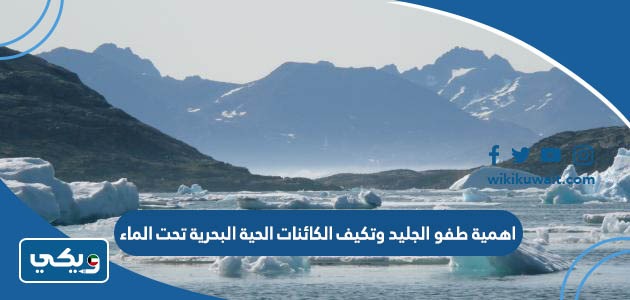 اهمية طفو الجليد وتكيف الكائنات الحية البحرية تحت الماء