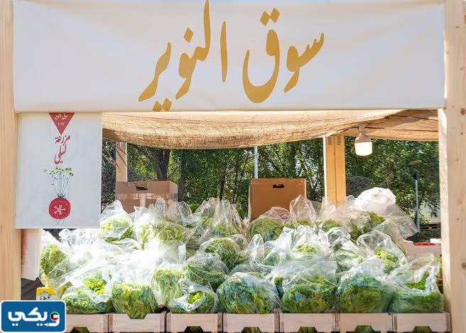 اوقات عمل مهرجان النوير الكويت 2023